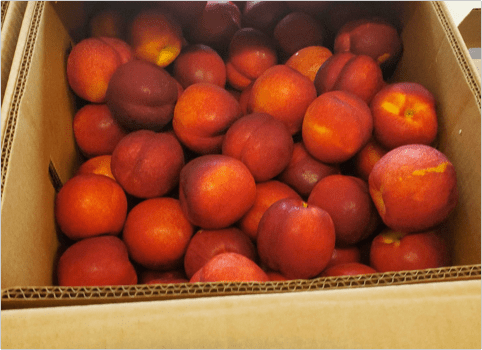 A box of fresh peaches grown by local Connecticut farmers.