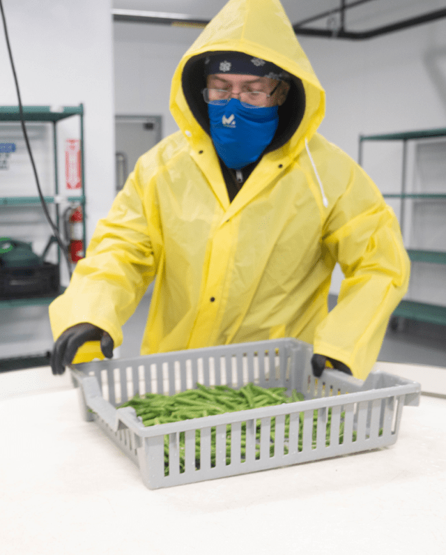 An employee of Brass City Harvest works to sanitize fresh produce.