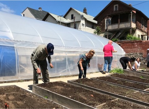 Volunteers work in the Brass City Harvest urban garden in Waterbury, Connecticut.